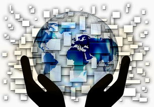 开云平台-中国篮球教练员战术创新与应用案例分析，篮球教练基本战术