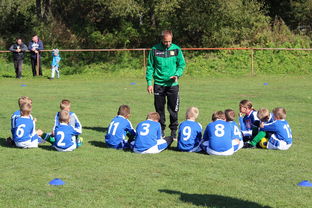 开云官方-中国篮球教练员战术创新能力培养及培训机制研究，全国篮球教练员岗位培训