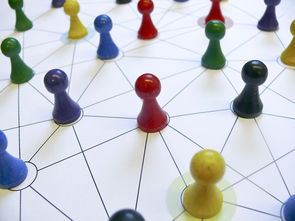 Kaiyun官方登录入口-中国篮球教练员战术执行力提升路径分析，中国篮球教练员等级划分标准