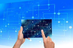 开云官方网页登录-中国篮球教练员战术执行力提升路径及方法研究，如何提高篮球教练员水平