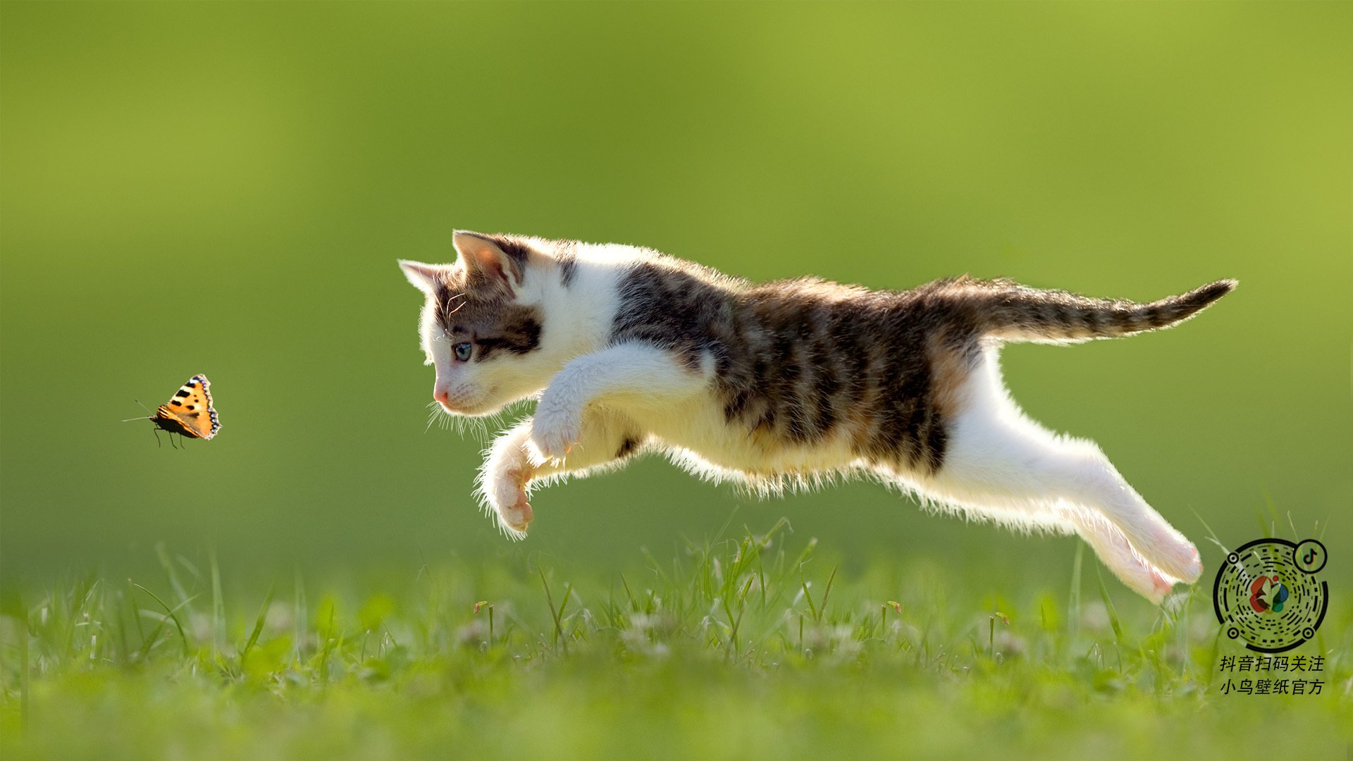 门将与中后卫之间传球次数是否影响推进节奏流畅度,后卫给守门员传球