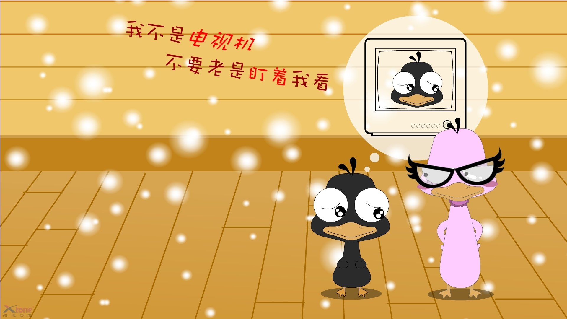 “萨尔·巴赫：南非的年轻希望”