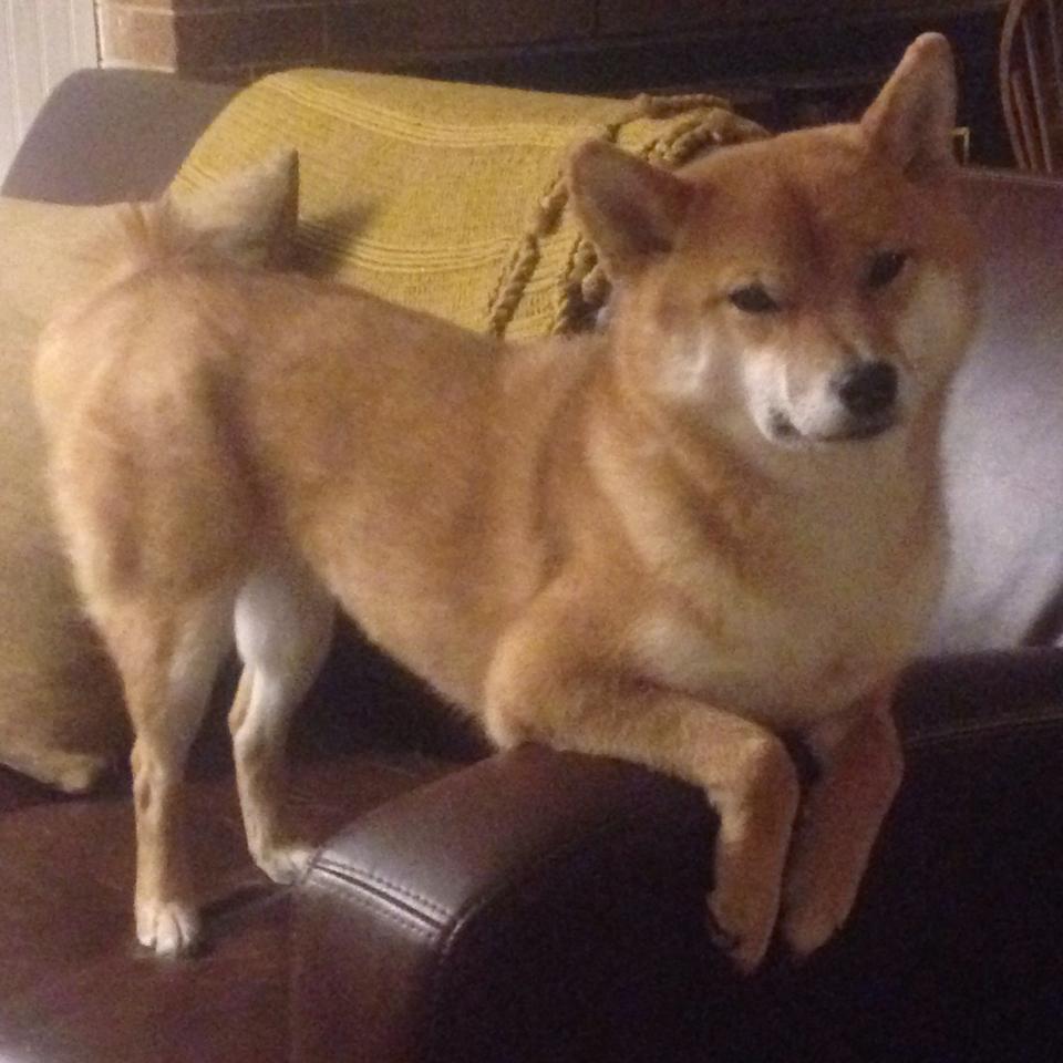 网球青少年赛事聚焦,2020青少年网球比赛赛程有哪些