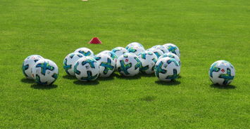 开云官方网站-中国足球是否需要建立多语种教练课程，中国足球应该学哪国