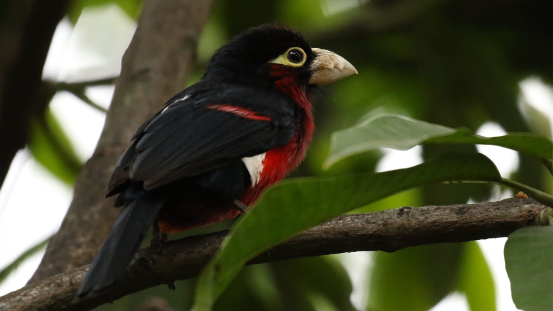 开云·Kaiyun网页版-中考英语最全复习计划公布，大小考高分不再难！，中考英语复习重点